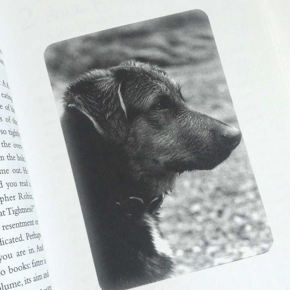 Goodbye, Friend: Healing Wisdom for Pet Owners By Gary Kowalski - Picture 2 of 9